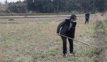 西充县住房和城乡建设局最新项目概览与动态