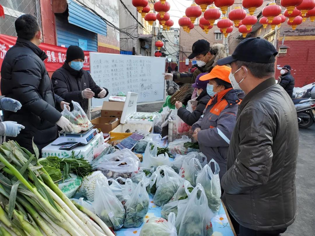 时村乡交通新动态，道路改造升级与设施完善