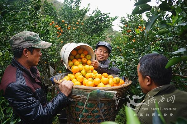 武陵区住房和城乡建设局最新发展规划